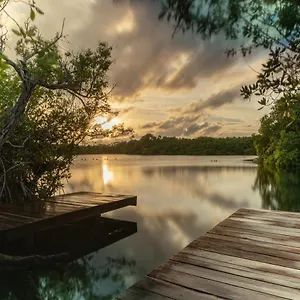  Lodge Yaxchen & Cenote México